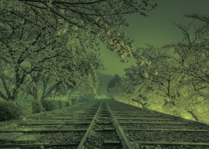 画像2: ★31%off★500ピースジグソーパズル 夢の軌道(京都)(KAGAYA)  やのまん 05-1015 (38×53cm) (2)