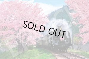 画像1: ★31％off★1000ピースジグソーパズル 桜と大井川鐵道-静岡  エポック社 09-020s (50×75cm) (1)