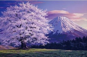 画像1: ■1000ピースジグソーパズル 富士山 桜満開のころ(EVENTUAL PAYSAGE)(島倉仁) 《廃番商品》 やのまん 10-1304 (50×75cm) (1)