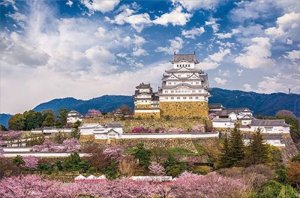 画像1: ■1000ピースジグソーパズル 桜咲く姫路城（兵庫）  やのまん 10-1313 (50×75cm) (1)