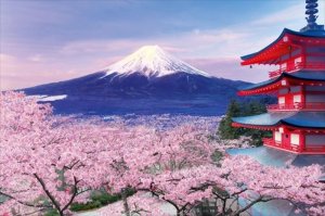 画像1: ■1000ピースジグソーパズル 五重塔から望む桜富士-山梨  エポック社 10-787 (50×75cm) (1)