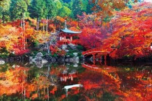 画像1: 【引上品】■1000ピースジグソーパズル 醍醐寺の秋-京都 《廃番商品》 エポック社 10-813 (50×75cm) (1)