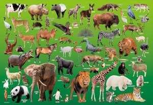 画像1: ■100ピースジグソーパズル 動物園  ビバリー 100-041 (26×38cm) (1)