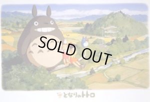 画像1: ■1000ピースジグソーパズル となりのトトロ 五月晴れの日に  エンスカイ 1000-211 (50×75cm) (1)