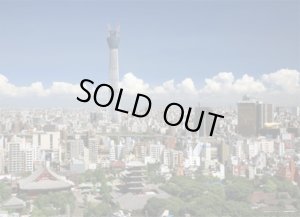 画像1: ■2014スモールピースジグソーパズル 東京スカイツリー&reg;-天空へ届け- 《廃番商品》 やのまん No.22-14 (45×62cm) (1)