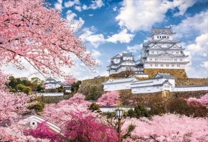 画像1: ■300ピースジグソーパズル 桜景姫路城-兵庫  エポック社 25-189 (26×38cm) (1)