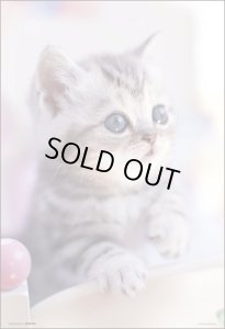 画像1: ★31%off★300ピースジグソーパズル おはよ♪  ビバリー 300-034 (26×38cm) (1)