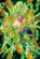 画像1: ■300ピースジグソーパズル 映画 ドラゴンボール超 ブロリー 超サイヤ人ブロリー（フルパワー） 《廃番商品》 エンスカイ 300-1518 (26×38cm) (1)