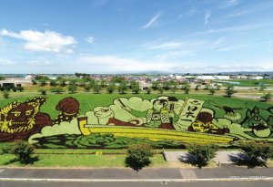 画像1: ★31％off★300ピースジグソーパズル 田んぼアート 青森県南津軽郡田舎館村 2017年 桃太郎 全体像  キューティーズ 300-157 (26×38cm) (1)