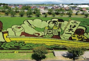 画像1: ★31％off★300ピースジグソーパズル 田んぼアート 青森県南津軽郡田舎館村 2017年 桃太郎 中心部  キューティーズ 300-158 (26×38cm) (1)