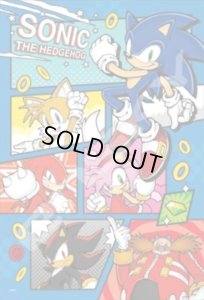 画像1: ■300ピースジグソーパズル ソニック・ザ・ヘッジホッグ SONIC THE HEDGEHOG  エンスカイ 300-3028 (26×38cm) (1)