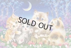 画像1: ★31％off★300ピースジグソーパズル 月夜であそぼう（原井加代美）  ビバリー 33-148 (26×38cm) (1)