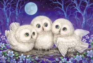 画像1: ■300ピースジグソーパズル 森のささやき 〜Owl Triplets〜（原井加代美） 《廃番商品》 ビバリー 33-153 (26×38cm) (1)