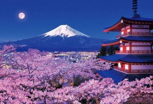 画像1: ■1000ピースジグソーパズル 富士と夜桜咲く浅間神社  ビバリー 51-276 (49×72cm) (1)