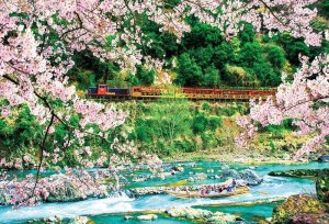 画像1: ■1000ピースジグソーパズル 桜の保津峡  ビバリー 51-292 (49×72cm) (1)