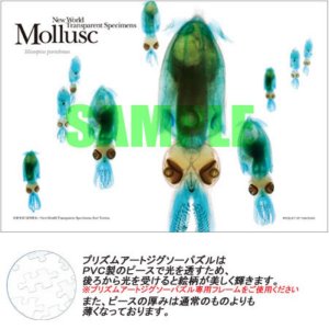 画像1: ■プリズムアート108ピースジグソーパズル 軟体動物（ヒメイカ） 《廃番商品》 やのまん No.61-06 (18.2×25.7cm) (1)