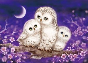 画像1: ■600ピースジグソーパズル ぬくもり〜OｗｌFamily〜（原井加代美） 《廃番商品》 ビバリー 66-102 (38×53cm) (1)