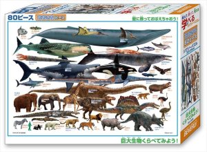 画像2: ■おおきなピース 80ピースジグソーパズル 巨大生物くらべてみよう! 《廃番商品》 ビバリー 80-028 (26×38cm) (2)