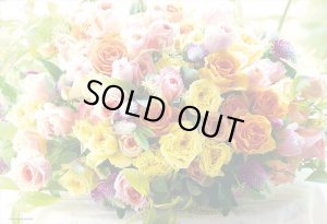 画像1: ★31%off★300ピースジグソーパズル アレグリア  ビバリー 93-170 (26×38cm) (1)