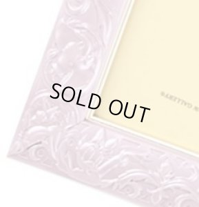 <拡大イメージ>