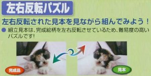 画像2: ■450スモールピースジグソーパズル 青光のノートルダム大聖堂(カナダ)/左右反転パズル 《廃番商品》 アポロ社 44-202 (26×38cm) (2)