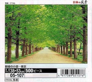 画像1: ◆希少品◆500ピースジグソーパズル 新緑の小道-東京 《廃番商品》 エポック社 05-107 (38×53cm) (1)