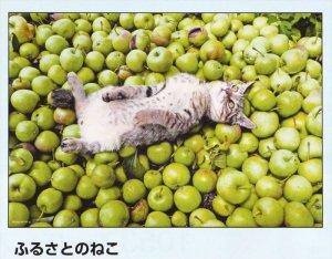 画像1: ■300ピースジグソーパズル ふるさとのねこ（岩合光昭） 《廃番商品》 アポロ社 48-779 (26×38cm) (1)