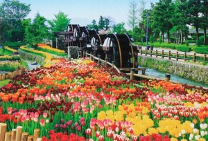 画像1: ◆希少品◆1053スーパースモールピースジグソーパズル 五連水車と花咲く公園-富山 《廃番商品》 アポロ社 49-608 (26×38cm) (1)