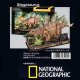 ■ 3Dパズル 立体クラフトモデル ナショナルジオグラフィック ステゴサウルス  ハートアートコレクション DS1054h