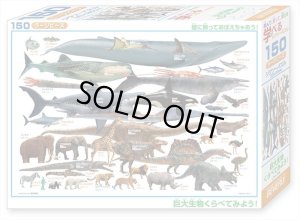 画像2: ★31%off★150ラージピースジグソーパズル 巨大生物くらべてみよう!  ビバリー L74-184 (26×38cm) (2)