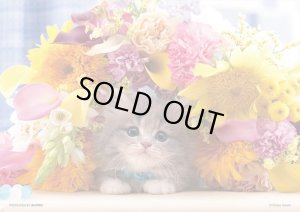 画像1: ■108ピースジグソーパズル お花に囲まれて  ビバリー P108-844 (18.2×25.7cm) (1)